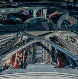 EOS Painted Carbon Flash Metallic X-Brace For C8 Corvette