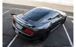 2015-2017 Mustang APR Carbon Fiber GTC Drag Rear Wing