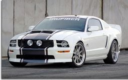 Shelby GT Style Ram Air Hood - 05-09 Mustang